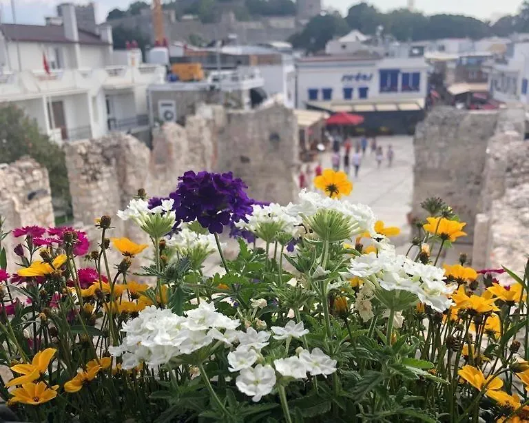 Houses Of Socrates - Manzara Apartment Bodrum Turkey